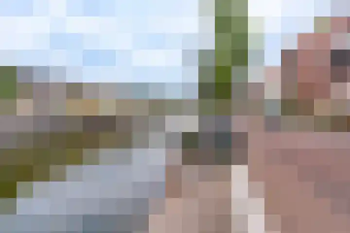 Tolsteegplantsoen 30 3 Utrecht thumbnail 46