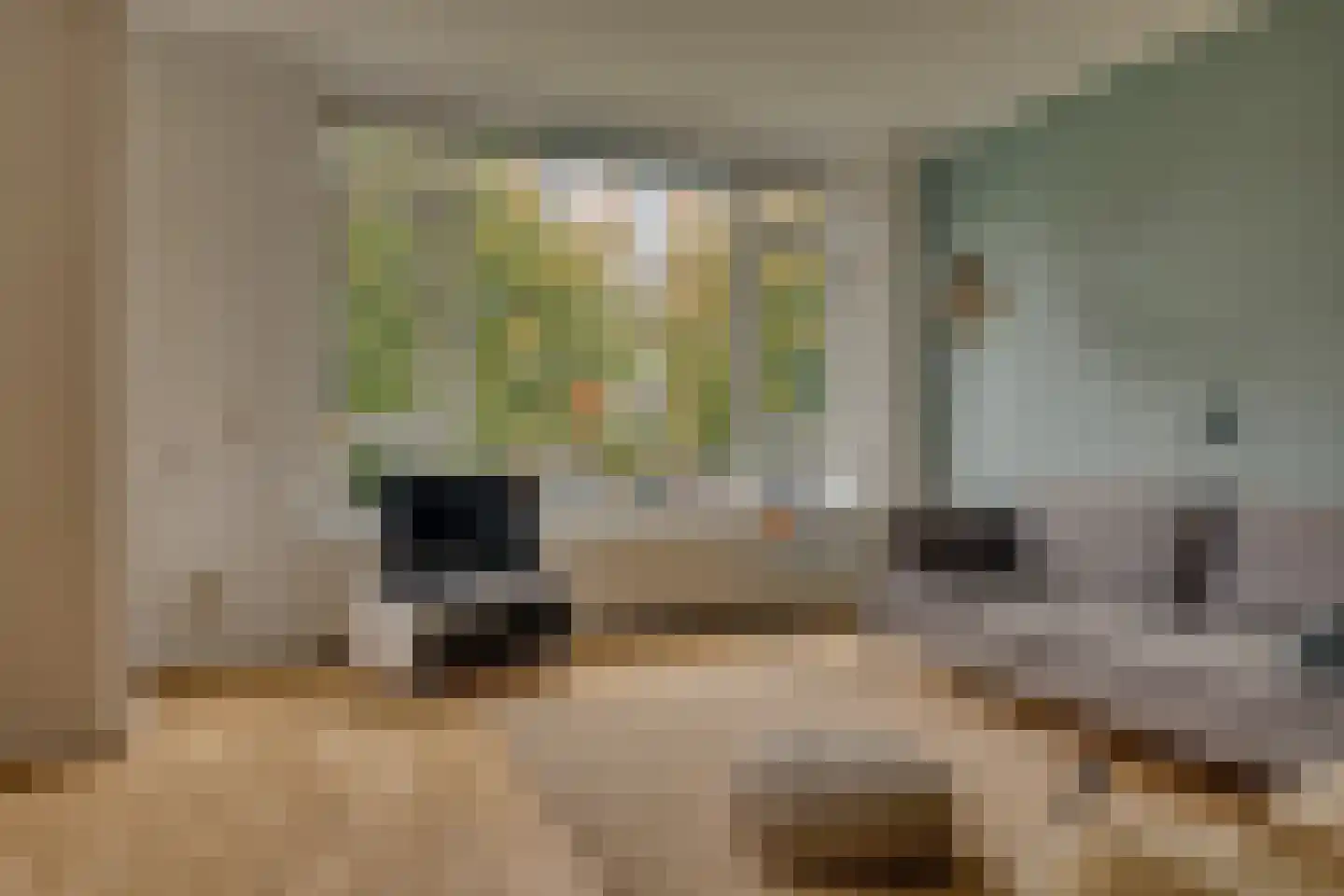 Tolsteegplantsoen 30 Utrecht thumbnail 13