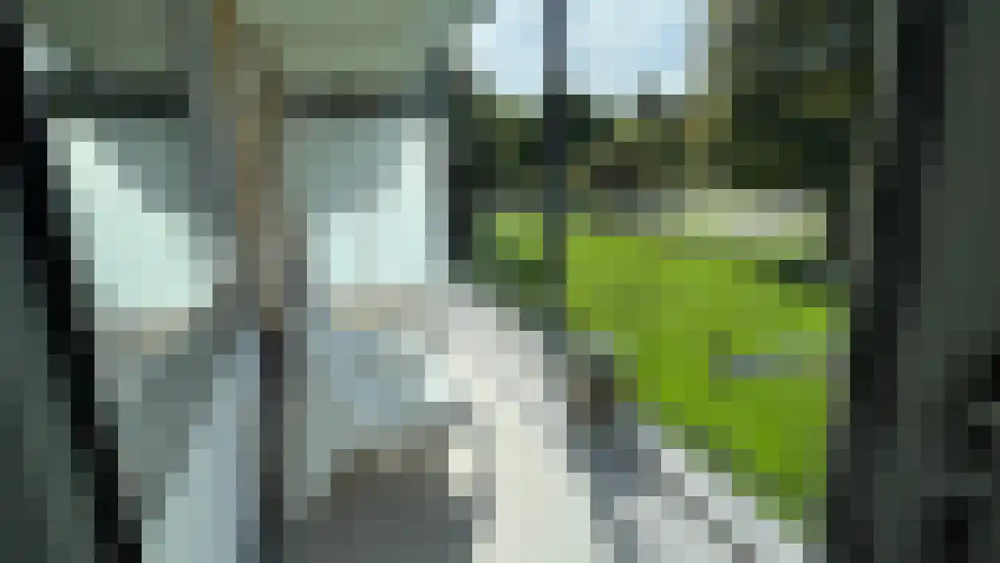 Tolsteegplantsoen 30 Utrecht thumbnail 16