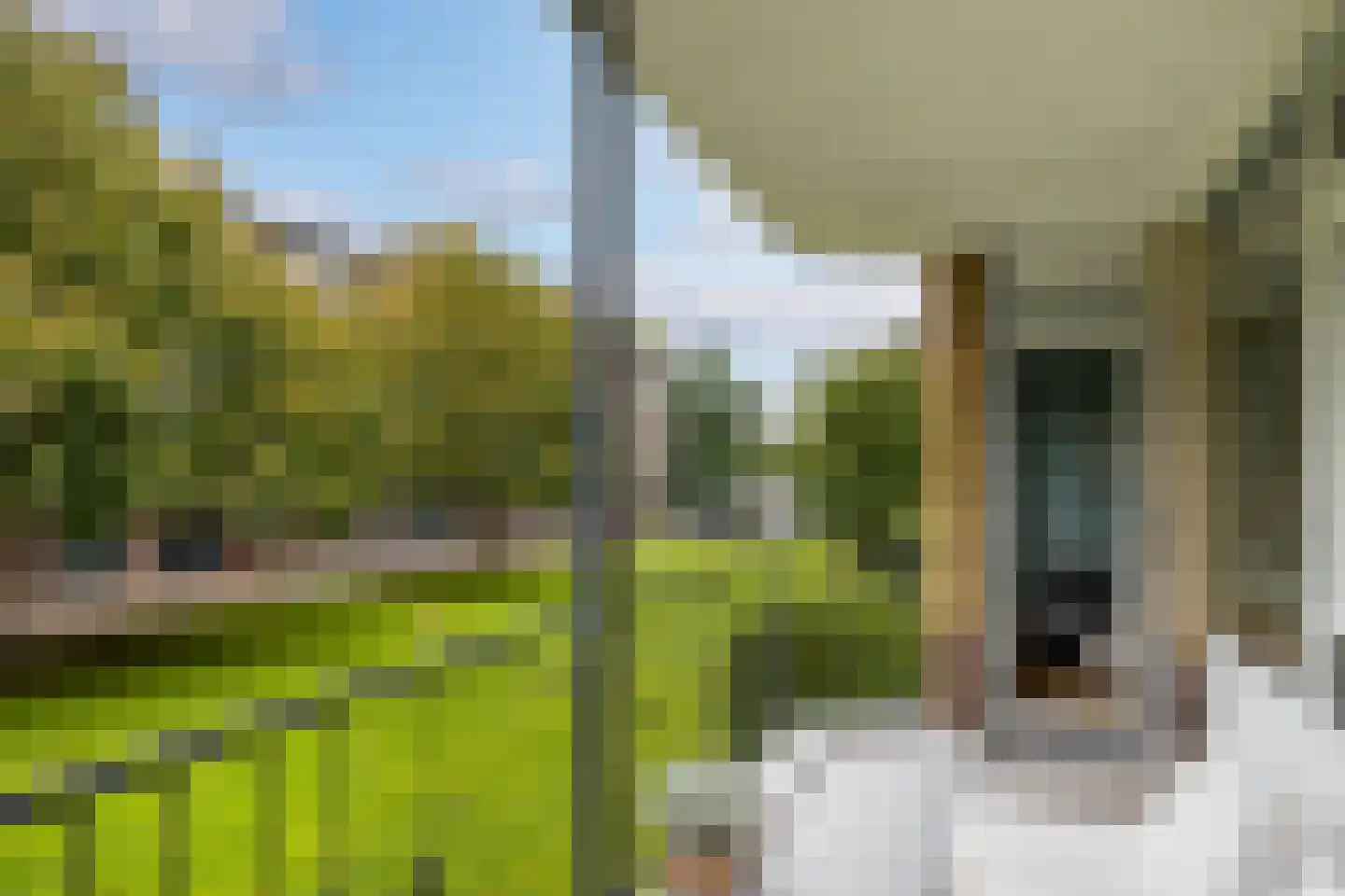 Tolsteegplantsoen 30 Utrecht thumbnail 17