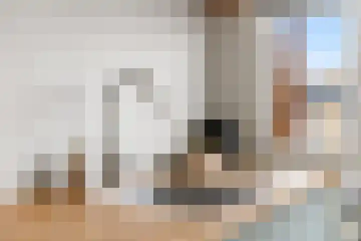 Tolsteegplantsoen 32 3 Utrecht thumbnail 12