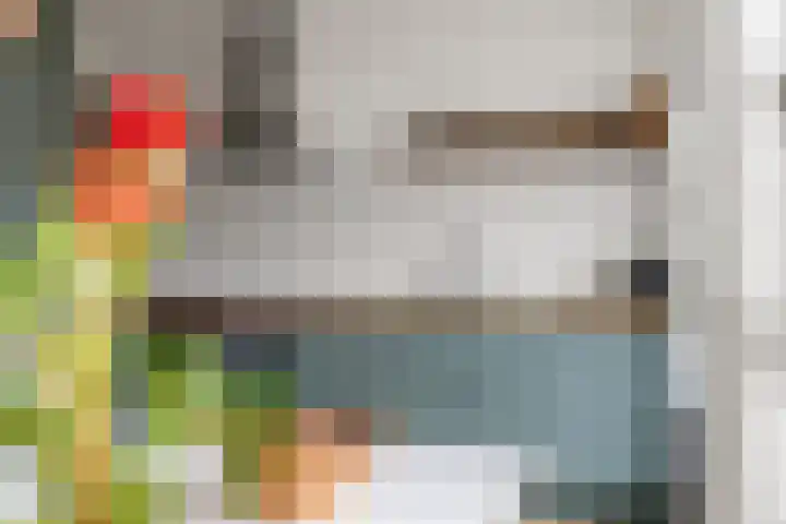 Tolsteegplantsoen 32 3 Utrecht thumbnail 15