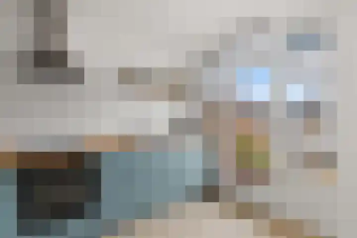Tolsteegplantsoen 32 3 Utrecht thumbnail 16