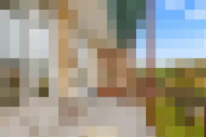 Tolsteegplantsoen 32 3 Utrecht thumbnail 20