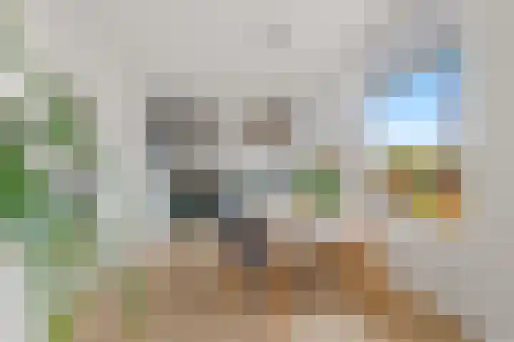 Tolsteegplantsoen 32 3 Utrecht thumbnail 22