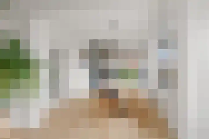 Tolsteegplantsoen 32 3 Utrecht thumbnail 23