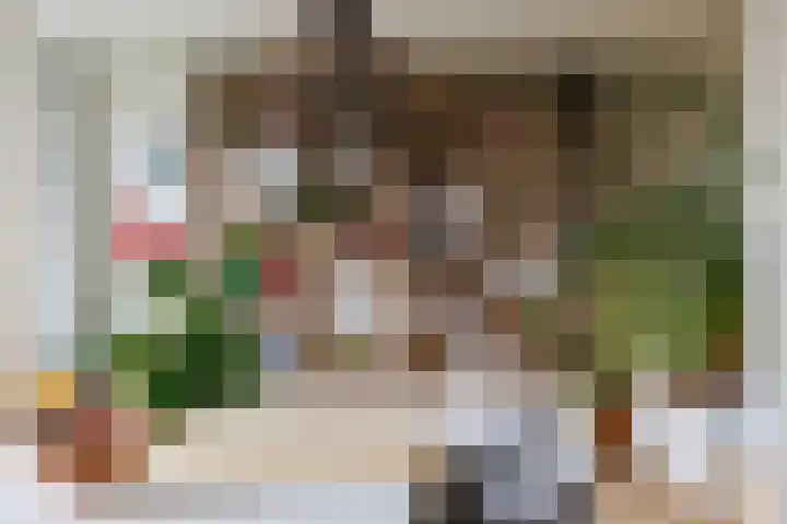 Tolsteegplantsoen 32 3 Utrecht thumbnail 27