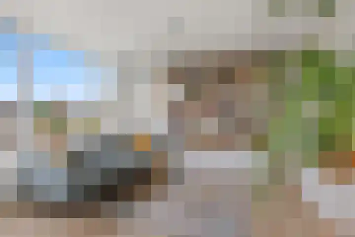Tolsteegplantsoen 32 3 Utrecht thumbnail 28