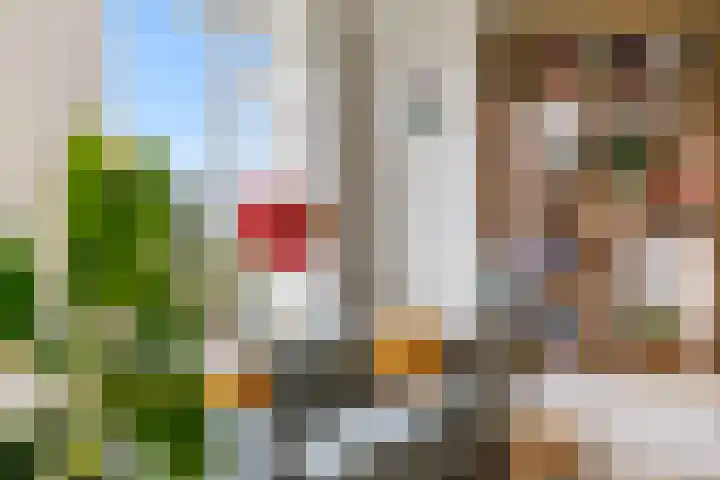Tolsteegplantsoen 32 3 Utrecht thumbnail 30