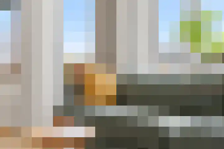 Tolsteegplantsoen 32 3 Utrecht thumbnail 34