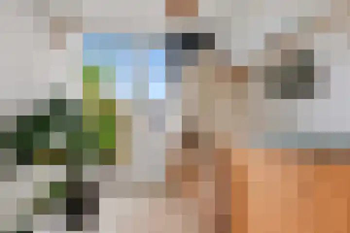 Tolsteegplantsoen 32 3 Utrecht thumbnail 47