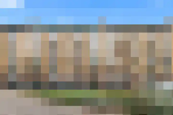 Tolsteegplantsoen 32 3 Utrecht thumbnail 5