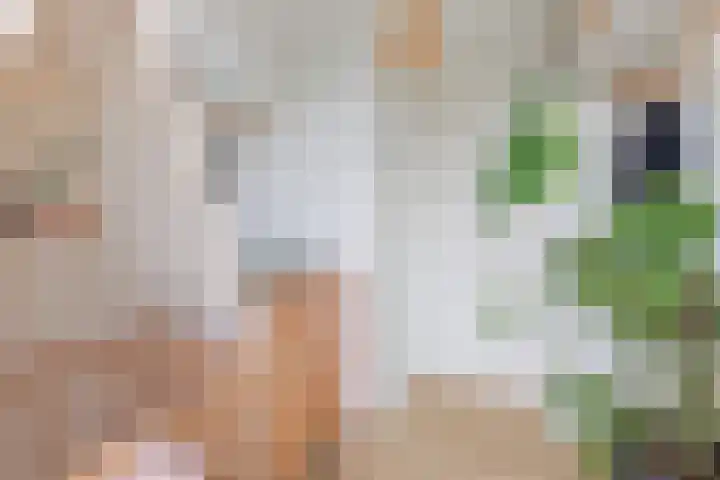 Tolsteegplantsoen 32 3 Utrecht thumbnail 50