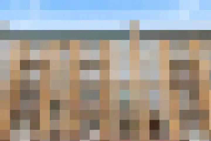 Tolsteegplantsoen 32 3 Utrecht thumbnail 51