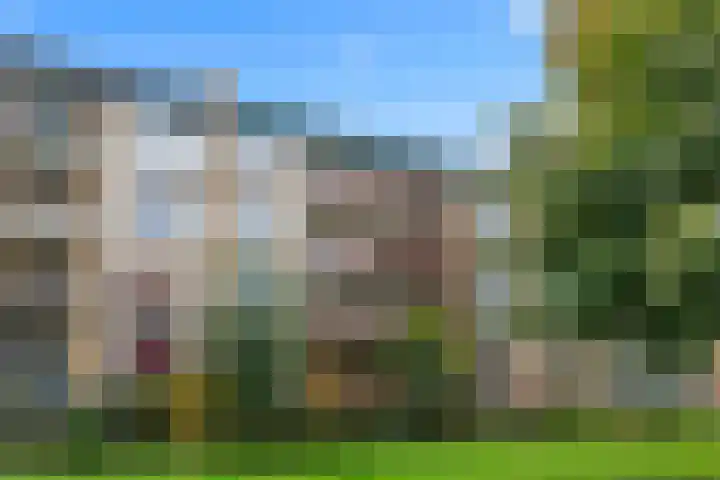 Tolsteegplantsoen 32 3 Utrecht thumbnail 53