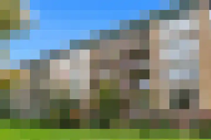 Tolsteegplantsoen 32 3 Utrecht thumbnail 54