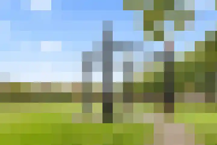 Tolsteegplantsoen 32 3 Utrecht thumbnail 56