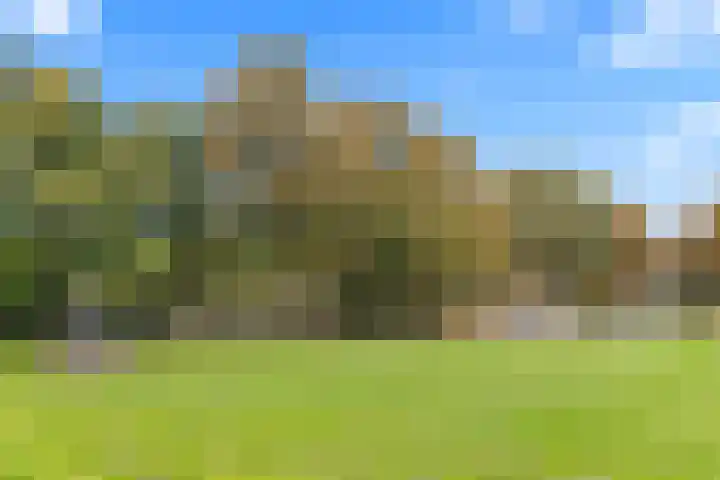 Tolsteegplantsoen 32 3 Utrecht thumbnail 57