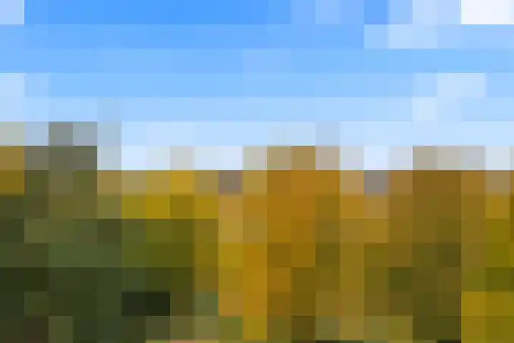 Tolsteegplantsoen 32 3 Utrecht thumbnail 6