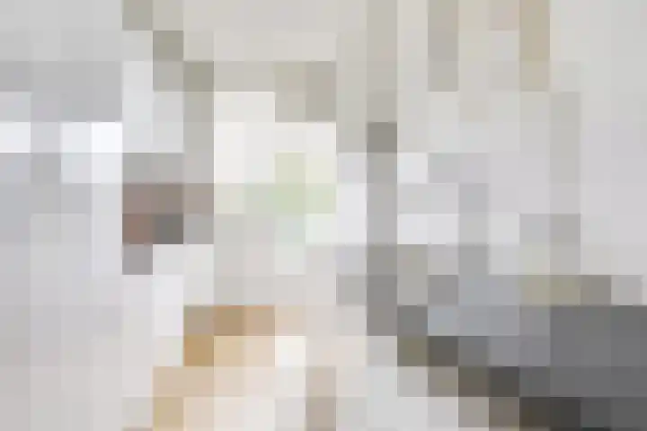 Tolsteegplantsoen 33 3 Utrecht thumbnail 10