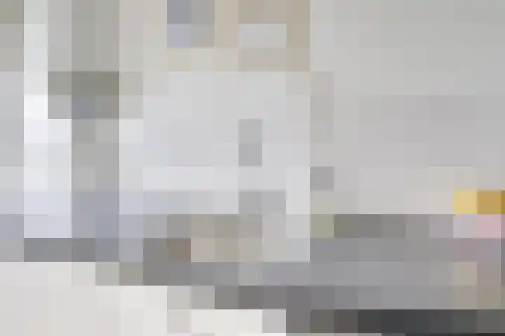 Tolsteegplantsoen 33 3 Utrecht thumbnail 11