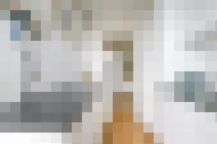 Tolsteegplantsoen 33 3 Utrecht thumbnail 13