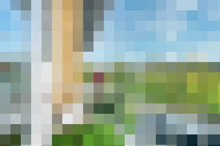 Tolsteegplantsoen 33 3 Utrecht thumbnail 14