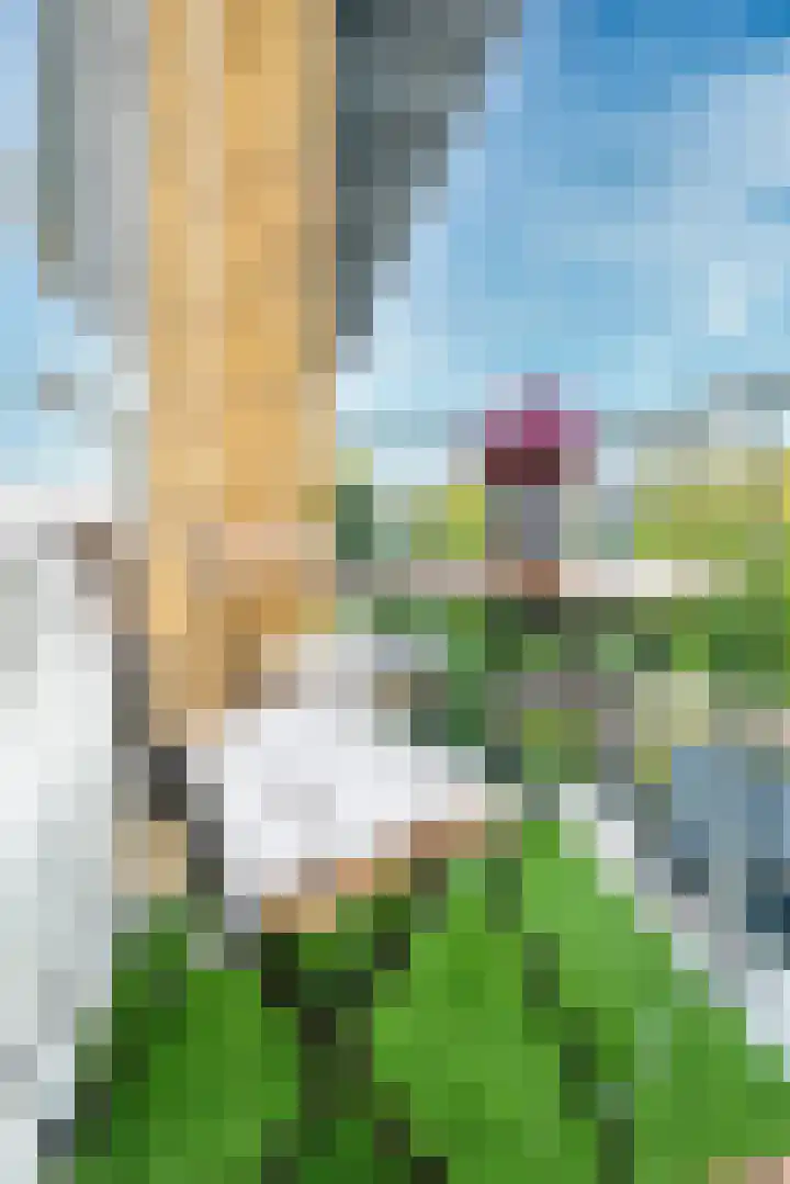 Tolsteegplantsoen 33 3 Utrecht thumbnail 15