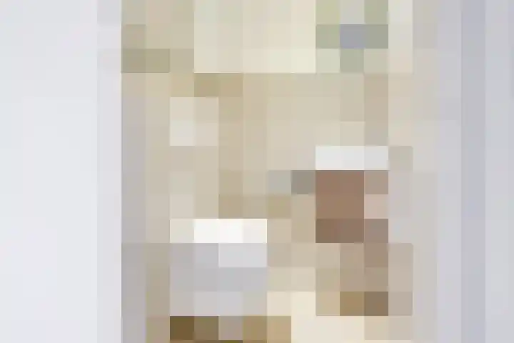 Tolsteegplantsoen 33 3 Utrecht thumbnail 23