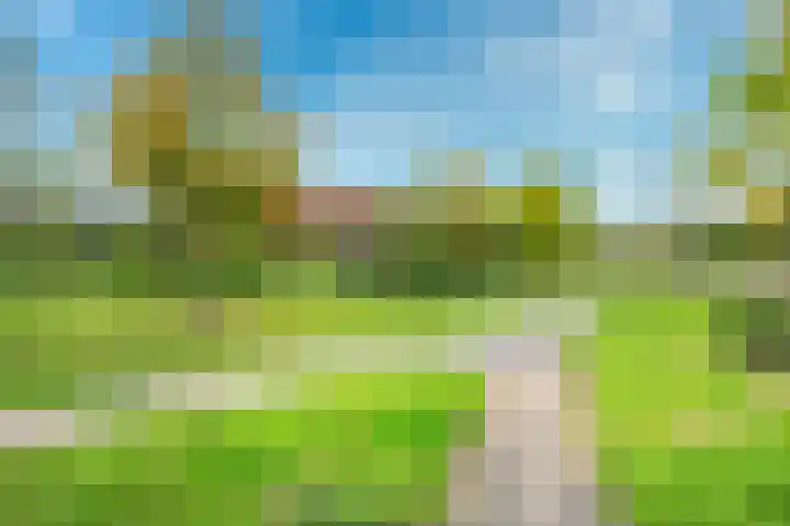 Tolsteegplantsoen 33 3 Utrecht thumbnail 24