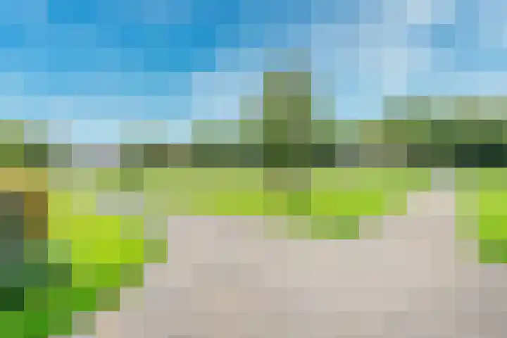Tolsteegplantsoen 33 3 Utrecht thumbnail 26