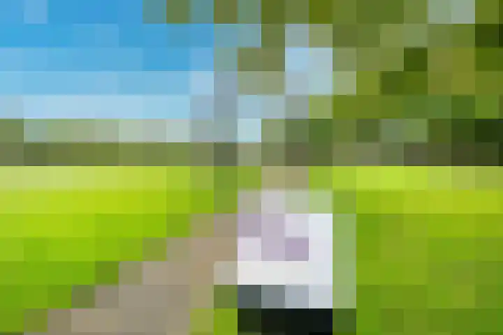 Tolsteegplantsoen 33 3 Utrecht thumbnail 27