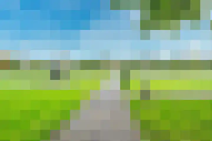 Tolsteegplantsoen 33 3 Utrecht thumbnail 28