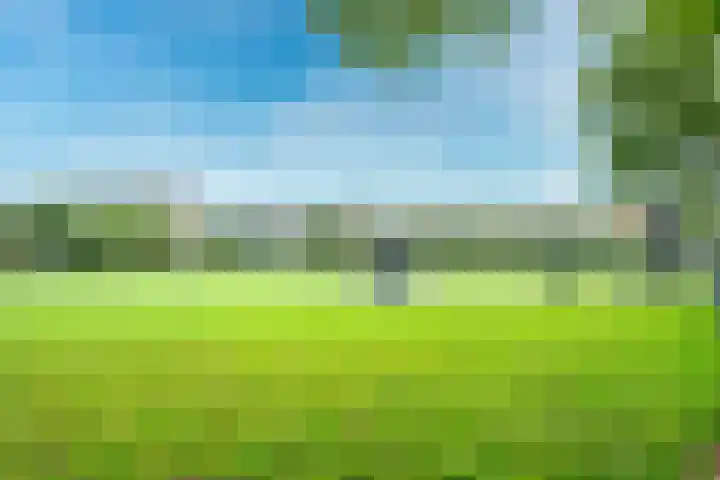 Tolsteegplantsoen 33 3 Utrecht thumbnail 29