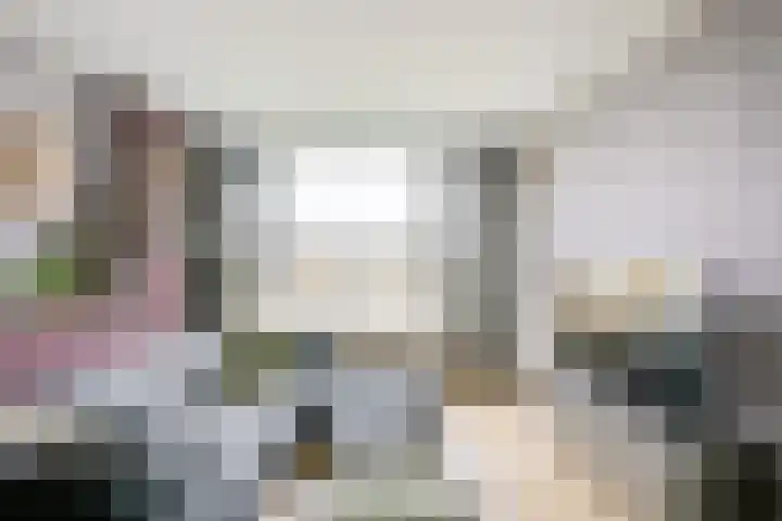 Tolsteegplantsoen 33 3 Utrecht thumbnail 4