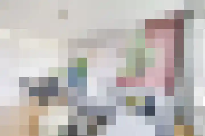 Tolsteegplantsoen 33 3 Utrecht thumbnail 5
