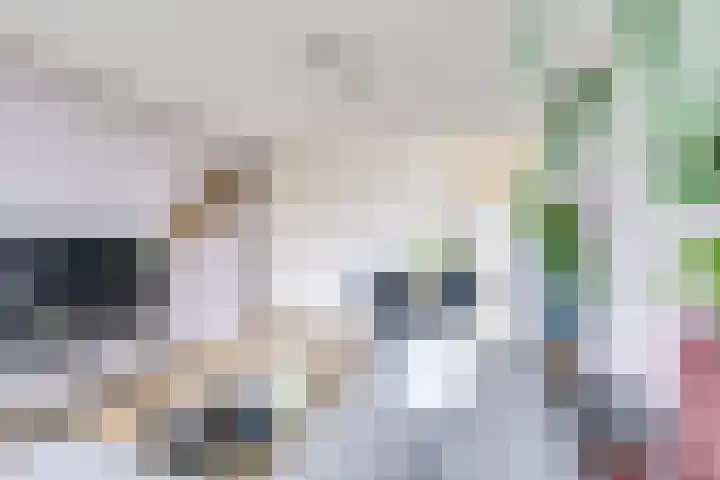 Tolsteegplantsoen 33 3 Utrecht thumbnail 6