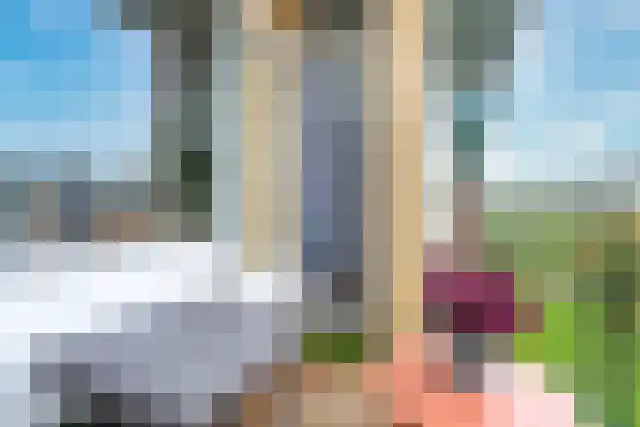Tolsteegplantsoen 33 3 Utrecht thumbnail 8