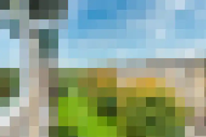 Tolsteegplantsoen 33 3 Utrecht thumbnail 9