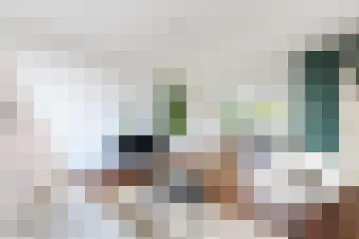 Tolsteegplantsoen 34 2 Utrecht thumbnail 12