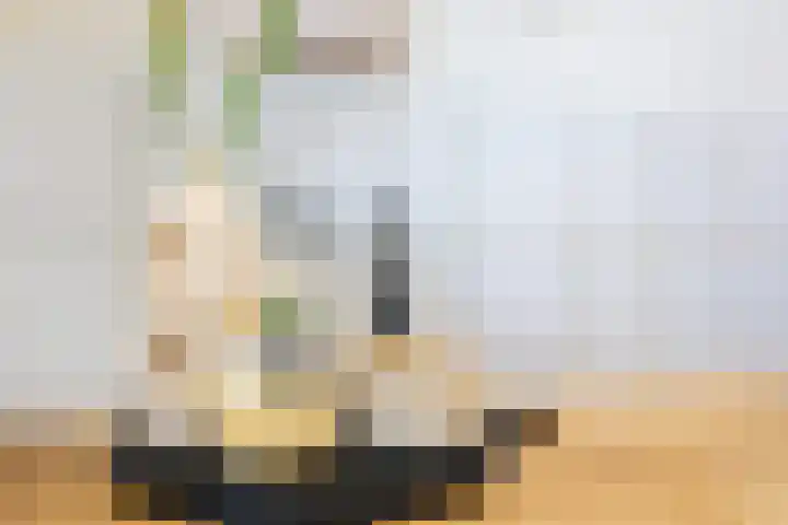 Tolsteegplantsoen 34 2 Utrecht thumbnail 15