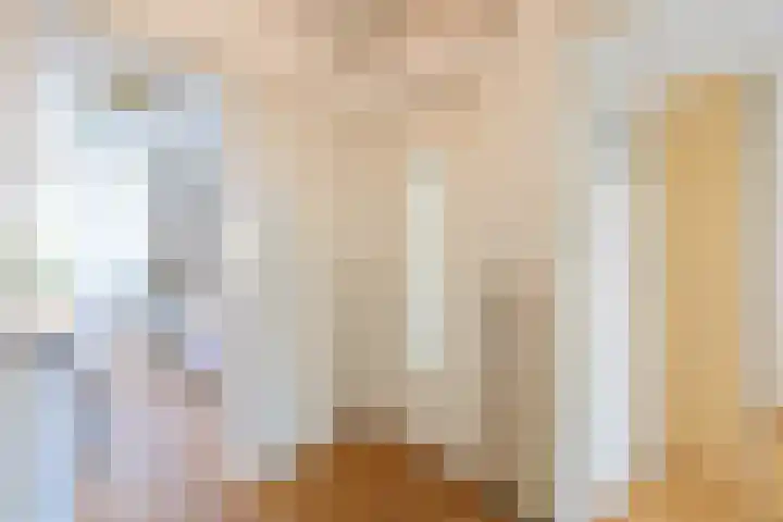 Tolsteegplantsoen 34 2 Utrecht thumbnail 17