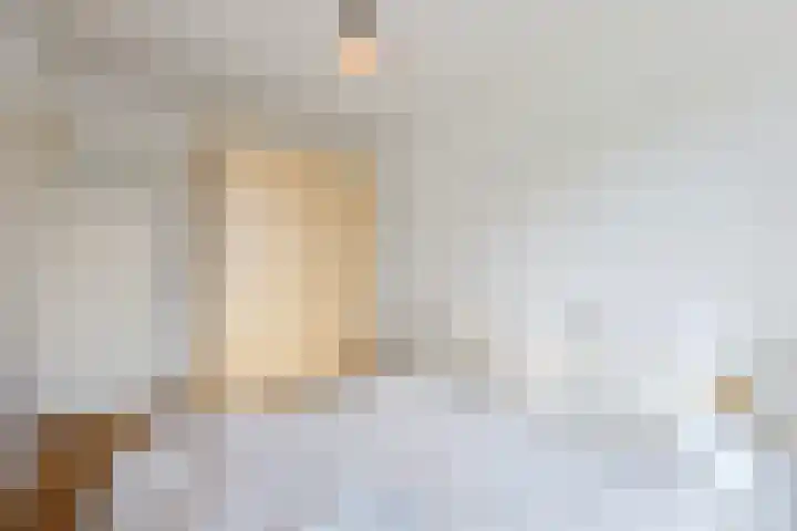 Tolsteegplantsoen 34 2 Utrecht thumbnail 21