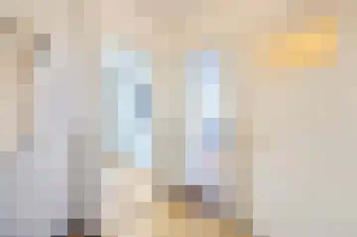 Tolsteegplantsoen 34 2 Utrecht thumbnail 27