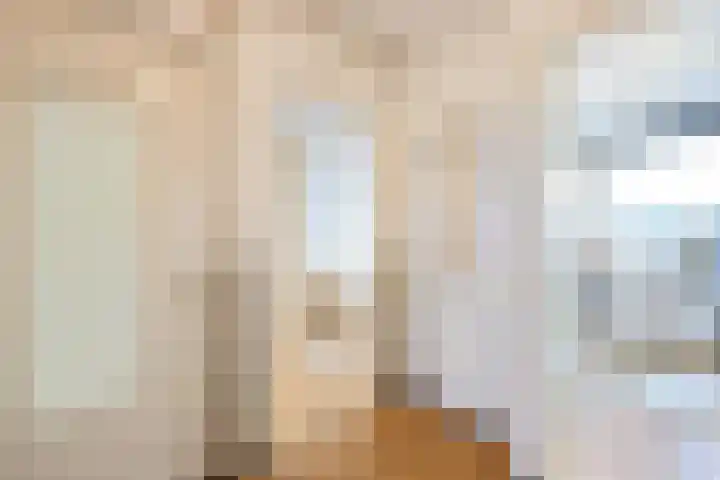 Tolsteegplantsoen 34 2 Utrecht thumbnail 28