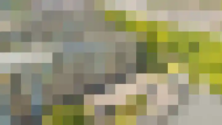 Tolsteegplantsoen 34 2 Utrecht thumbnail 30