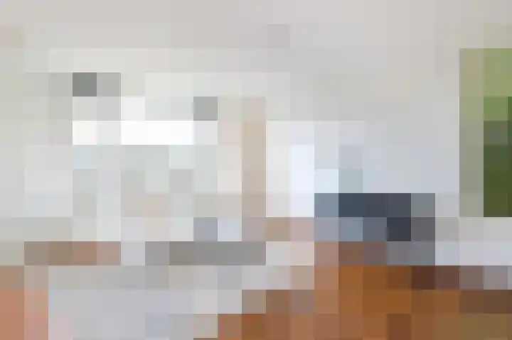 Tolsteegplantsoen 34 2 Utrecht thumbnail 5