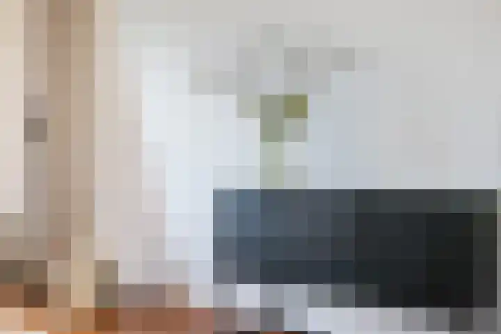 Tolsteegplantsoen 34 2 Utrecht thumbnail 6