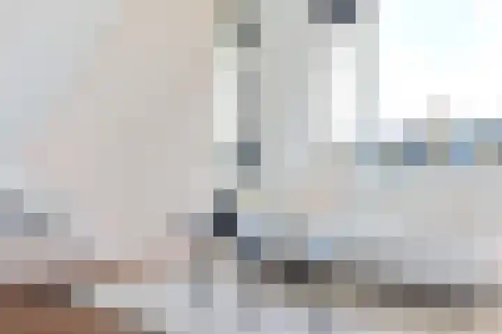 Tolsteegplantsoen 34 2 Utrecht thumbnail 7