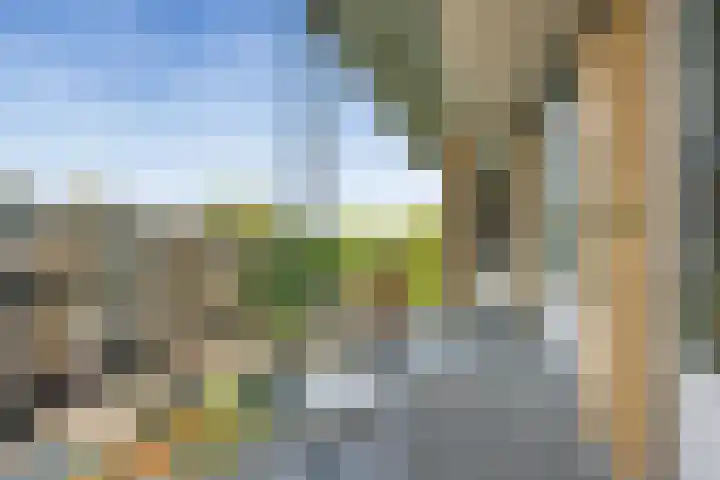 Tolsteegplantsoen 34 2 Utrecht thumbnail 9